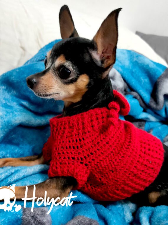 Ropa para perritas pincher cheap