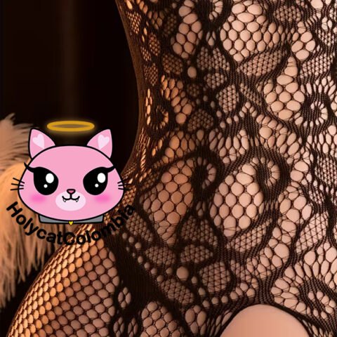 Lencería Sensual en Malla con Aberturas